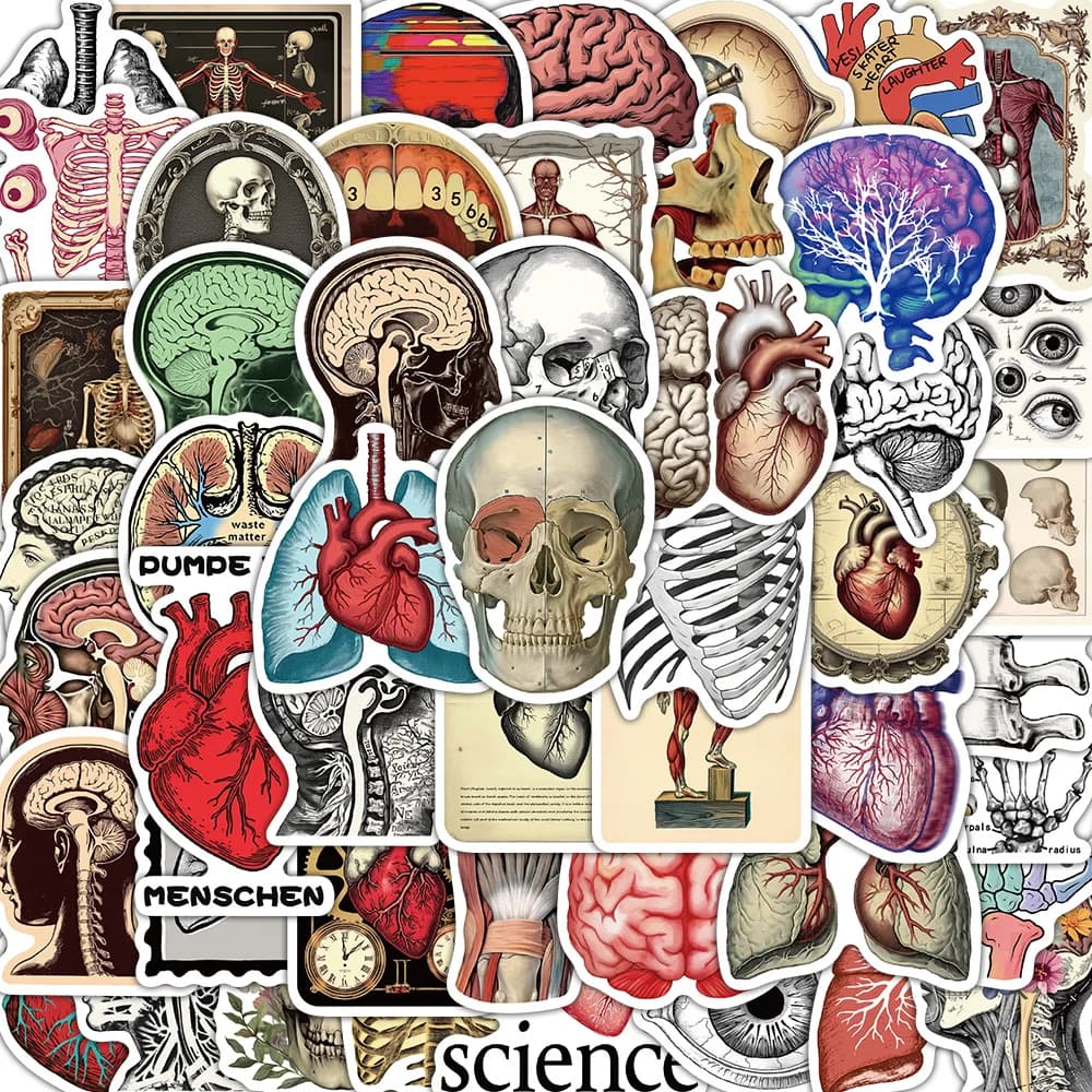 50PCS Retro Scientific Anatomy Sticker Physiology Anatomy Luggage Laptop Cars PVC Guitar Coffee Skateboard Notebook Decals