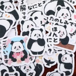 40pcs Hand Account Cartoon Panda Sticker Hand Account Cute DIY Album Ins Translucent Decoration Material Kawaii Vintage Planner