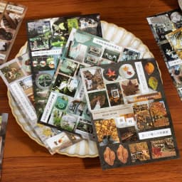 20pcs Die-Cut Sticker Book - Japanese Food & Dessert Vintage Showa Style,Glitter Matte Glossy Finish,School Stationery supplies