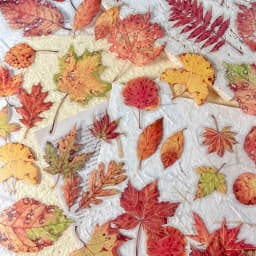 40 sheets Autumn Leaf Mushroom Theme Stickers pack Journal Diy Scrapbooking Supplies Diary Album Aesthetic Stationery Sticker