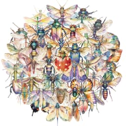 50PCS Exquisite Insect Watercolor Graffiti Stickers Handbooks DIY Luggage Notebooks Motorcycles PET Waterproof Stickers