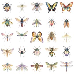 50PCS Exquisite Insect Watercolor Graffiti Stickers Handbooks DIY Luggage Notebooks Motorcycles PET Waterproof Stickers
