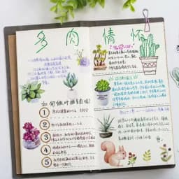 46pcs Green Cactus Plant Decorative Washi Stickers for Scrapbooking Diary Stationery Album Stick Labels