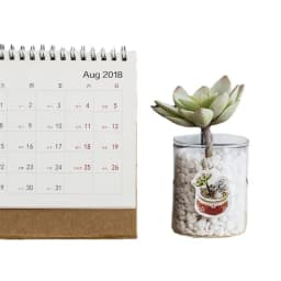 46pcs Green Cactus Plant Decorative Washi Stickers for Scrapbooking Diary Stationery Album Stick Labels