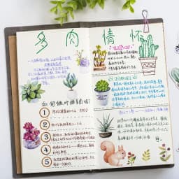 46pcs Green Cactus Plant Decorative Washi Stickers for Scrapbooking Diary Stationery Album Stick Labels