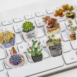 46pcs Green Cactus Plant Decorative Washi Stickers for Scrapbooking Diary Stationery Album Stick Labels