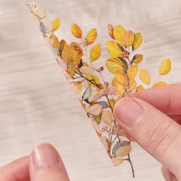 JIANWU Toon Yu Twilight Wild Series Vintage Plant Flower Branch PET Sticker Creative DIY Journal Material Collage Stationery