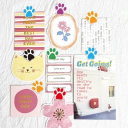500 PCS Dog Paw Print Stickers,1 Inch Colorful/Black Dog Stickers For Kids,Self-Adhesive Puppy Paw Prints Stickers For Gifts