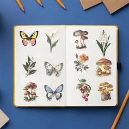 50PCS Retro Forest Mushroom Butterfly Graffiti Sticker Stationery Helmet Guitar Diary Water Bottle Transparent Waterproof Decals