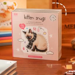 20pcs Corner Cats PET Square Sticker Book for Journal Scrapbooking Planner Decoration Waterproof Cute Animal Stickers, Mr. Paper