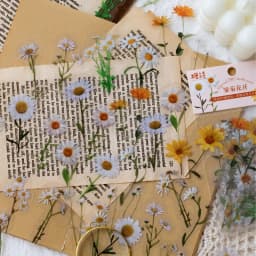 Natural plant collection Green Leaf Decorative PET Stickers Scrapbooking Label Diary Stationery Album Phone Cup Journal Planner