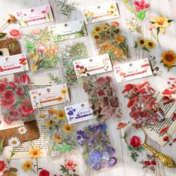 Natural plant collection Green Leaf Decorative PET Stickers Scrapbooking Label Diary Stationery Album Phone Cup Journal Planner