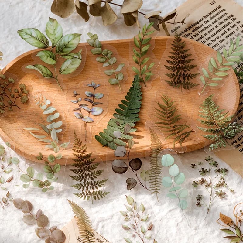 Natural plant collection Green Leaf Decorative PET Stickers Scrapbooking Label Diary Stationery Album Phone Cup Journal Planner