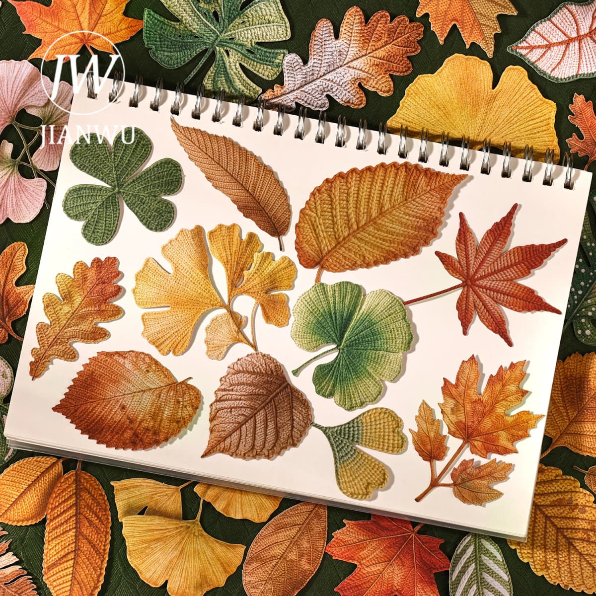 JIANWU Vintage Autumn Leaves Maple Leaf Landscape Material Collage Scrapbooking PET Sticker Creative DIY Journal Stationery