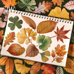 JIANWU Vintage Autumn Leaves Maple Leaf Landscape Material Collage Scrapbooking PET Sticker Creative DIY Journal Stationery