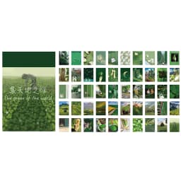50 pcs Scrapbooking Stationery Stickers aesthetic INS Natural landscape Planner Diary Album collage material Sticker book