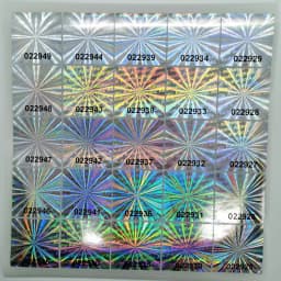 Hologram Warranty Sticker, Sealed Tamper-Proof Holographic Label, Black Serial Number, Customized Logo, 500pcs 30mmx30mm