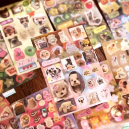 Mr. Paper 30pcs Vintage Style Pet Food Theme Sticker Book,Starry Lamination & Full Die-Cut Craft, Self-Adhesive Journal Supplies