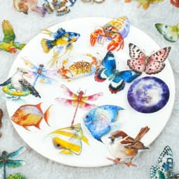 50pcs/1lot Kawaii Scrapbook Stickers Colorful World Junk Journal Gold Planner Stationery Sticker Planner Decorative