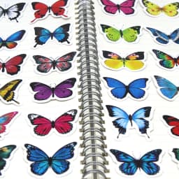 10/50/100pcs Butterfly Insect Cartoon Cute Decals Toy Stationery Guitar Phone Bicycle Laptop Luggage Car Graffiti Kids Sticker