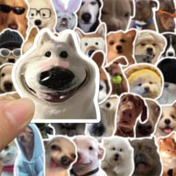10/30/50PCS Dog Life Korean Sticker Aesthetic PVC Diary Laptop Sketchbook Stationery Scrapbooking School Supplies