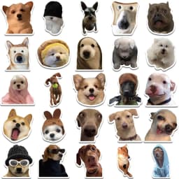 10/30/50PCS Dog Life Korean Sticker Aesthetic PVC Diary Laptop Sketchbook Stationery Scrapbooking School Supplies