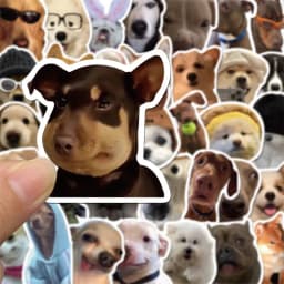 10/30/50PCS Dog Life Korean Sticker Aesthetic PVC Diary Laptop Sketchbook Stationery Scrapbooking School Supplies