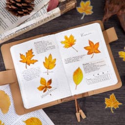 30pcs/lot Kawaii Stationery Stickers Maple Leaf Story DIY Craft Scrapbooking Album Junk Journal Happy Planner Diary Stickers