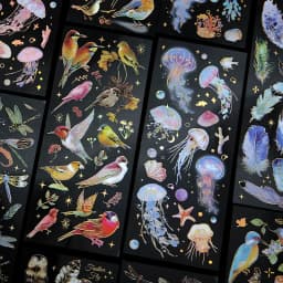 3pcs Kawaii Sticker Pack Feather Dragonfly Bird Jellyfish Decorative Scrapbooking Material Labels for Diary Phone Journal Planne