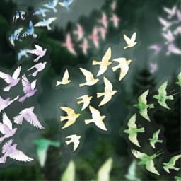 JIANWU Vintage Butterfly Bird Flower Leaves Landscape Material Collage Scrapbooking PET Sticker Creative DIY Journal Stationery
