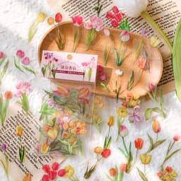 40pcs Plant & Nature Flower Decorative PVC Stickers Daisy & Mushroom DIY Scrapbooking Labels Journaling Stationery Album Decals