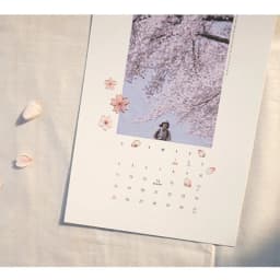 Korean Import Suatelier Brand Sonia Gold Foil Sakura DIY Scrapbooking Diary Stationery Stickers Supplies
