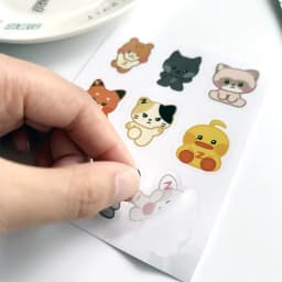 ZB1 ZERONI Cartoon PVC Waterproof Stickers Zerobaseone Hanbin Yujin Zhanghao Phone Cup Guitar Self-adhesive Decal Stickers