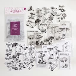 40pcs Kawaii Stationery Stickers Four Seasons Secret Realm Series Junk Journal Diary Planner Decorative Mobile Sticker