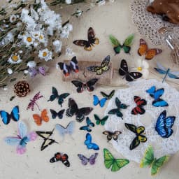 40pcs Butterfly Stickers Pack for Diary Travel Scrapbooking Planner Albums - DIY Sealing Label Decal Sticky Notes Decoration