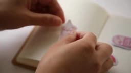 46Pcs Pink Girlhood Mini Paper Stickers Kawaii Japanese Stationery for DIY Album Diary Scrapbooking Label Decor