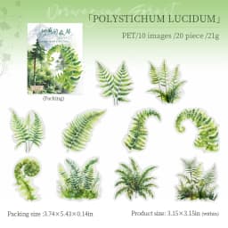JIANWU Norwegian Forest Series Vintage Plant Landscaping Material Collage PET Sticker Creative DIY Journal Stationery