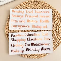 Sharkbang 2pcs PET English Stickers, Black And Aold Artistic Lettering, Fit For DIY Budget Book Labels And School Suppliers
