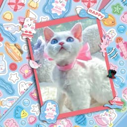 MOHAMM 12 Sheets Kawaii Rabbit Cartoon Photocards Stickers for DIY Collage Frame Scrapbook Journal Supplies