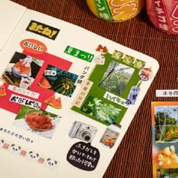 Mr. Paper 20Pcs/bag cut film sticker book Japanese ancient morning style material handbook Valley beauty diy goo card collage