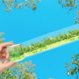 3.5*200cm PET Grass Plant Landscaping Tapes Stickers Scrapbooking Hand Account Adhesive Hand Made Diy Junk Journal Craft Supplie