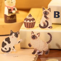 2sheets Meow Enjoys Sweet Time Series Kawaii Cartoon PET Stickers DIY Diary Scrapbook Aesthetics Stationery Stickers