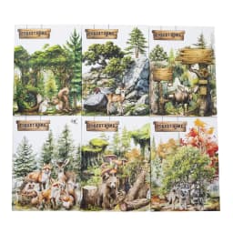 JIANWU Forest Home Series Vintage Plant Animal Material Collage PET Sticker Creative DIY Journal Scrapbooking Stationery