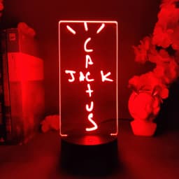 Cactus Jack 3d Illusion Lamp Cool Stuff to Room Decoration Lovely Birthday Gift for Fans Friends Bedroom Standby Nightlight