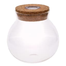 11/12cm Round Glass Jar Globe Terrarium Glass Jar with Colorful LED Light Cork Micro Landscape Ecological Bottle Night Lights