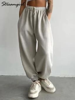 Thick Warm Fleece Sweatpants Women Winter Straight Leg Pants Gray Velvet Trousers Pants Jogger For Women Sweatpants Outfits