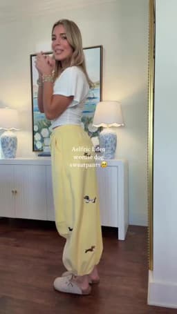 2025 Fashion New Trendy Pants For Lady Casual Sausage Dog Pattern Loose Embroidery Trousers Autumn Hip Hop Straight Wide Pant