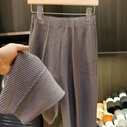 Miyake Pleated Pants 2025 Summer New Premium Sense Dragon Scale Pleated Casual Pants Versatile Thin Elastic Waist Pants Women