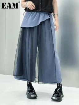 EAM High Elastic Waist Blue Irregular Mesh Spliced Wide Leg Pants New Trousers Women Fashion Tide Autumn 2026 1DJ1338