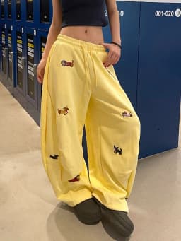 Aoaiiys Grey Loose Pants Women's Sausage Dog Embroidered High Street Trousers 2026 Summer New Drawstring Straight Sweatpants
